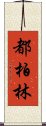 都柏林 Scroll