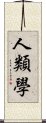 人類學 Scroll