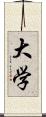 大学 Scroll