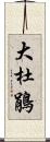 大杜鵑 Scroll