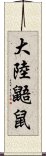 大陸鼯鼠 Scroll