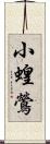 小蝗鶯 Scroll