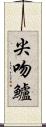 尖吻鱸 Scroll