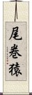 尾巻猿 Scroll