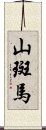 山斑馬 Scroll