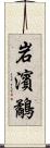 岩濱鷸 Scroll