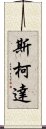 斯柯達 Scroll