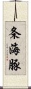 条海豚 Scroll