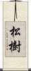 松樹 Scroll