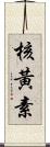 核黃素 Scroll