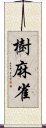 樹麻雀 Scroll