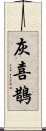 灰喜鵲 Scroll