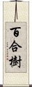 百合樹 Scroll