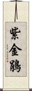 紫金鵑 Scroll