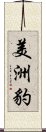 美洲豹 Scroll