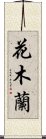 Hua Mulan Scroll