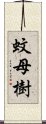 蚊母樹 Scroll