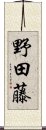 野田藤 Scroll