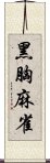 黑胸麻雀 Scroll