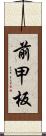 前甲板 Scroll