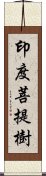 印度菩提樹 Scroll