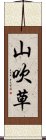 山吹草 Scroll