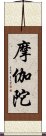 摩伽陀 Scroll