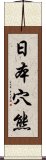 日本穴熊 Scroll