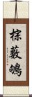 棕藪鴝 Scroll