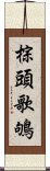 棕頭歌鴝 Scroll