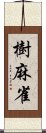 樹麻雀 Scroll