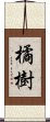 橘樹 Scroll