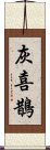 灰喜鵲 Scroll