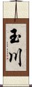 玉川 Scroll