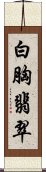 白胸翡翠 Scroll