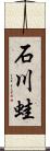 石川蛙 Scroll