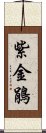 紫金鵑 Scroll