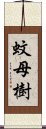 蚊母樹 Scroll