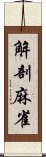 解剖麻雀 Scroll