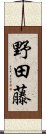 野田藤 Scroll