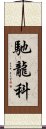 馳龍科 Scroll