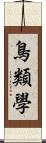 鳥類學 Scroll