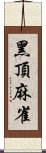 黑頂麻雀 Scroll