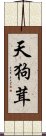 天狗茸 Scroll