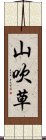 山吹草 Scroll