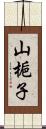 山梔子 Scroll