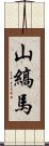 山縞馬 Scroll