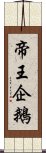 帝王企鵝 Scroll