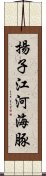 揚子江河海豚 Scroll