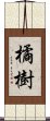 橘樹 Scroll